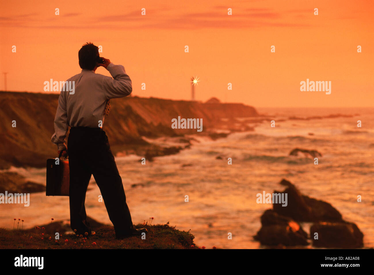 Businessman talking on cellphone, près de Point Arena Phare sur California coast Banque D'Images