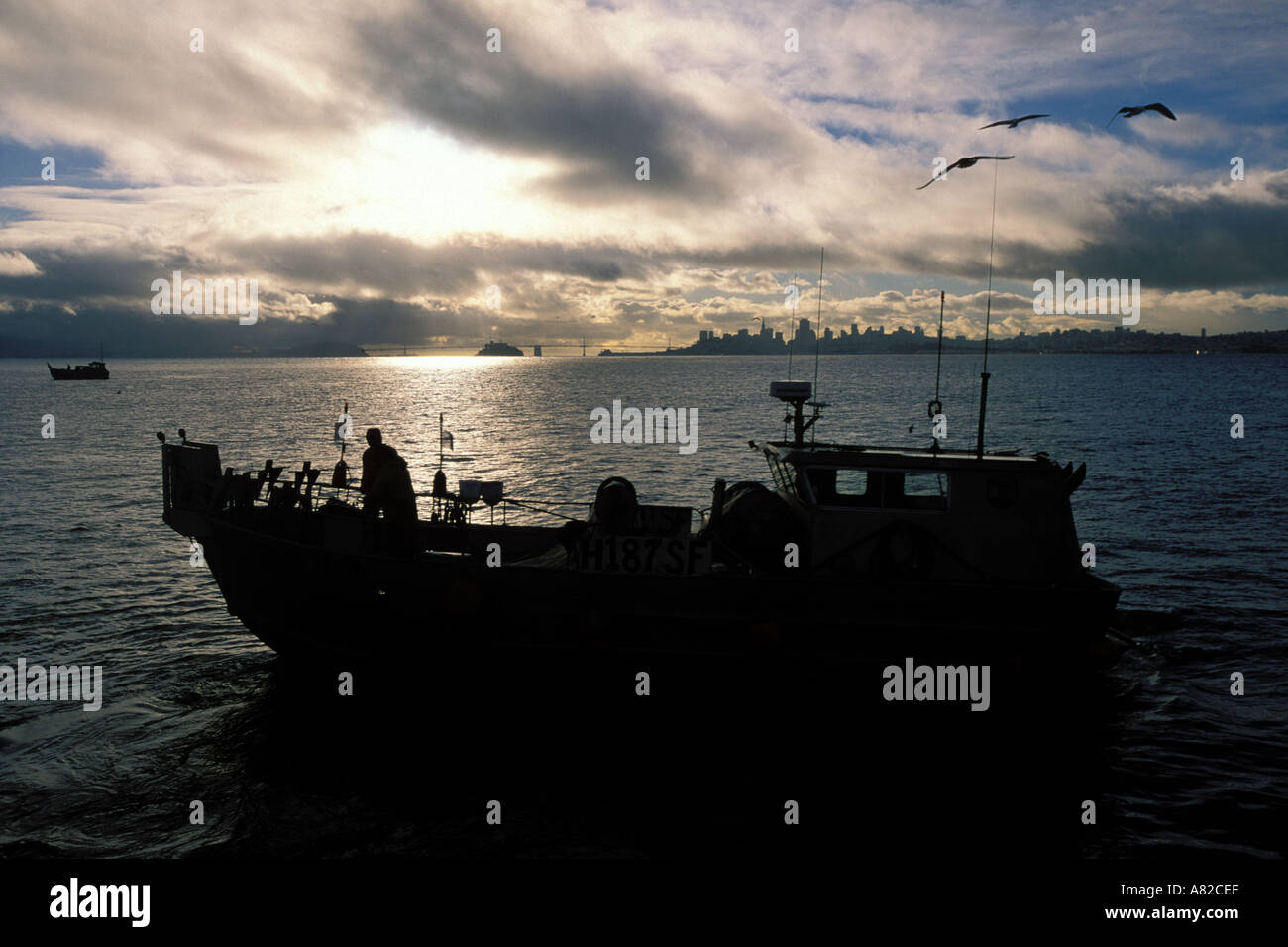 La Californie, San Francisco Bay, les pêcheurs de hareng, Richardson Bay Banque D'Images