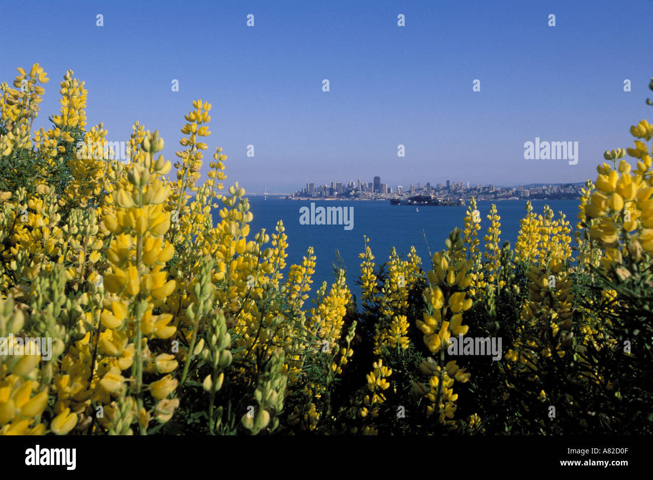 La Californie, San Francisco Bay, Angel Island State Park Banque D'Images