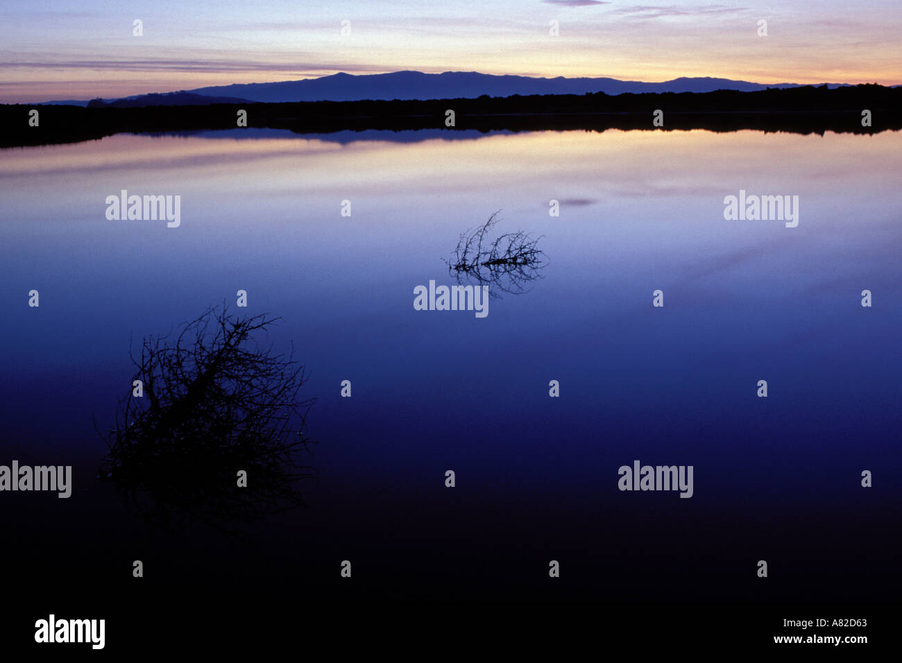 La Californie, San Francisco Bay, Don Edwards National Wildlife Sanctuary Banque D'Images