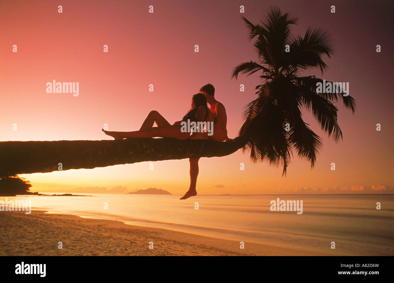 Couple sitting on palm tree at sunset Banque D'Images