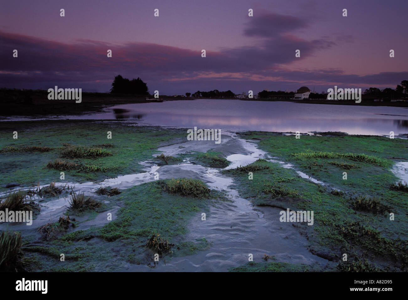 La Californie, San Francisco, Crissy Field, GGNRA, tidal marsh au crépuscule Banque D'Images