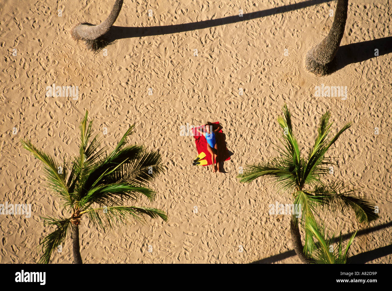 Femme seule sur la plage de Waikiki au milieu de palmiers d'en haut Banque D'Images