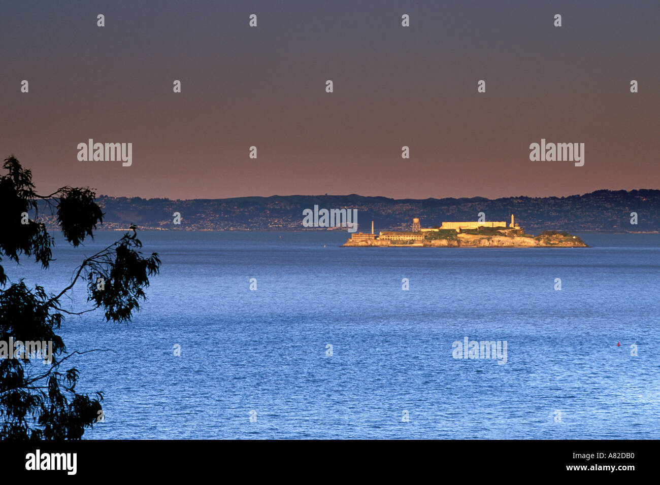 La Californie, San Francisco, Alcatraz de Crissy Field Banque D'Images