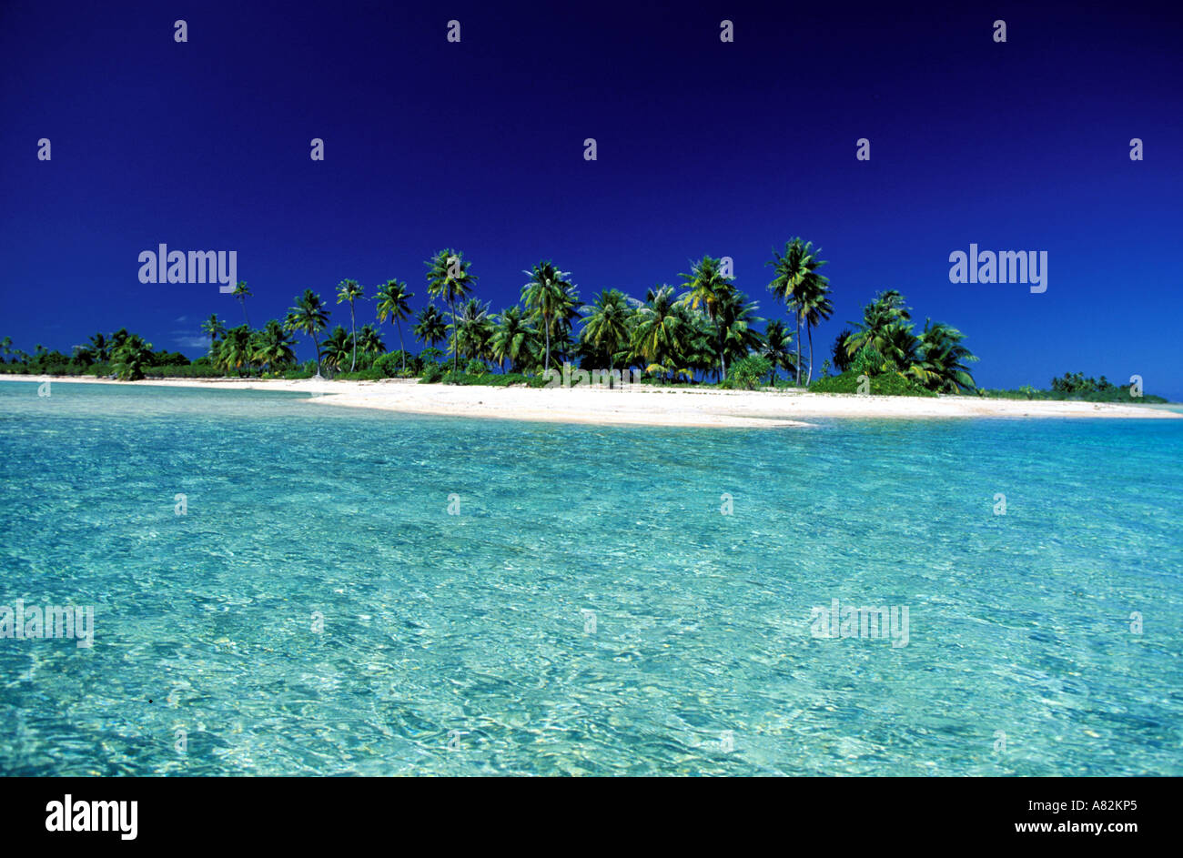 French polynesia tuamotu islands tikehau Banque de photographies et d ...