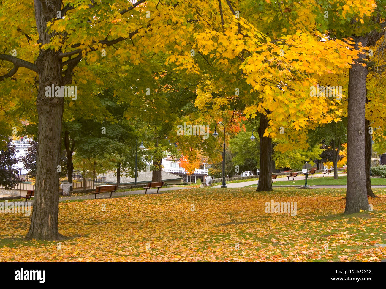 Park, Lake George, New York State, USA Banque D'Images