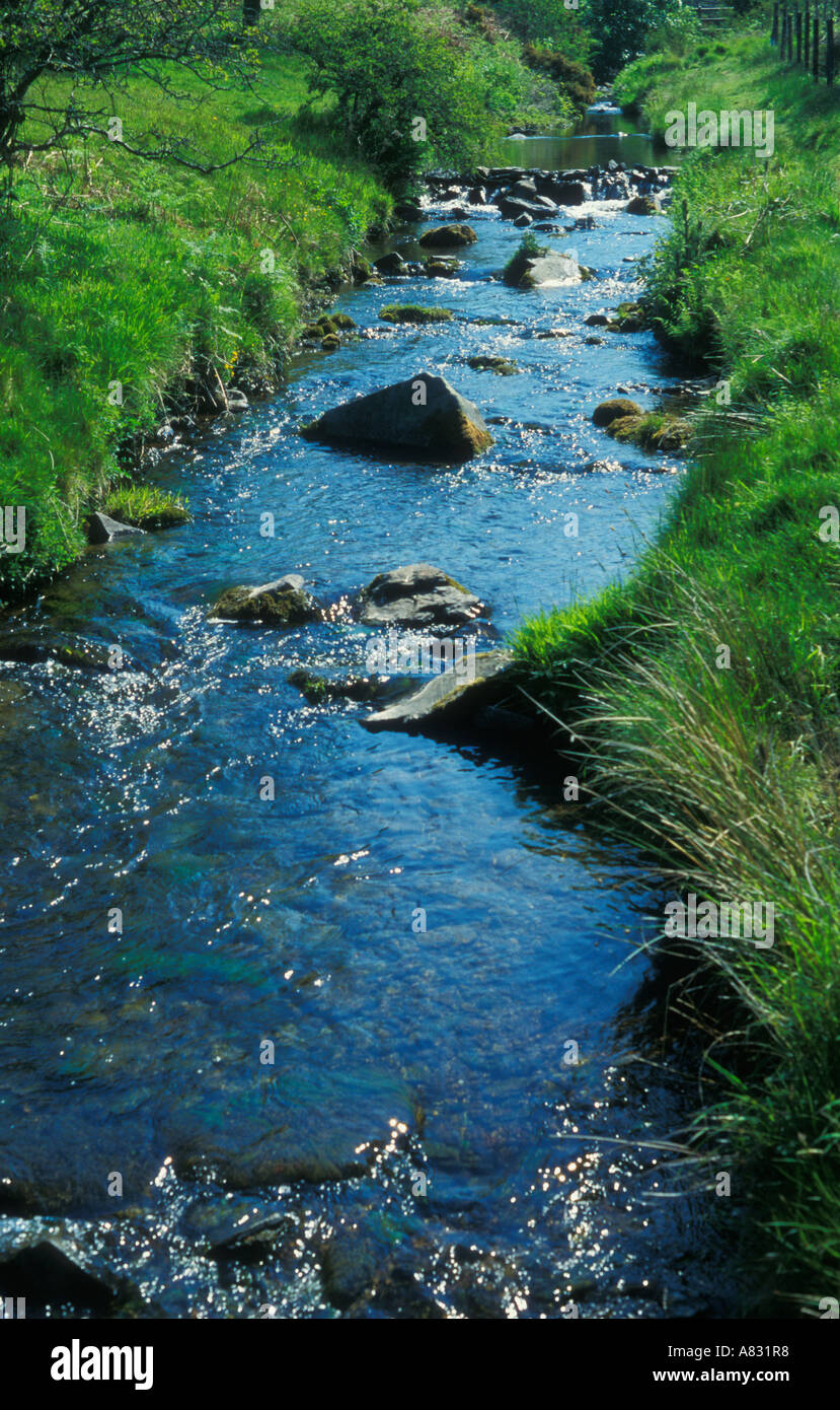 River East Lyne dans Doone Valley Banque D'Images