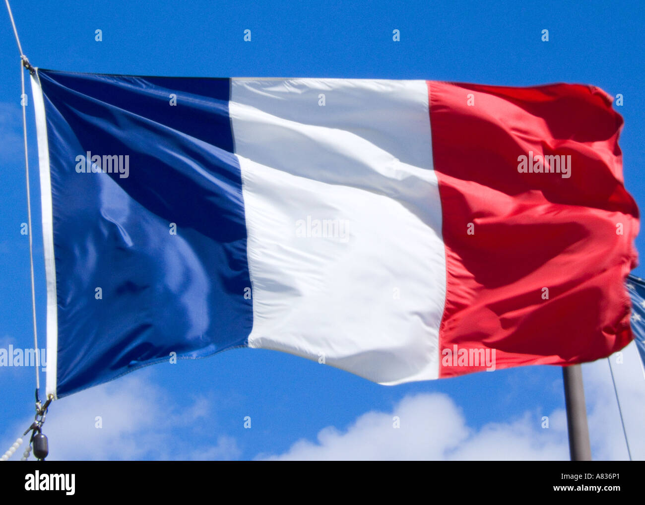 Drapeau français contre un ciel bleu Banque D'Images