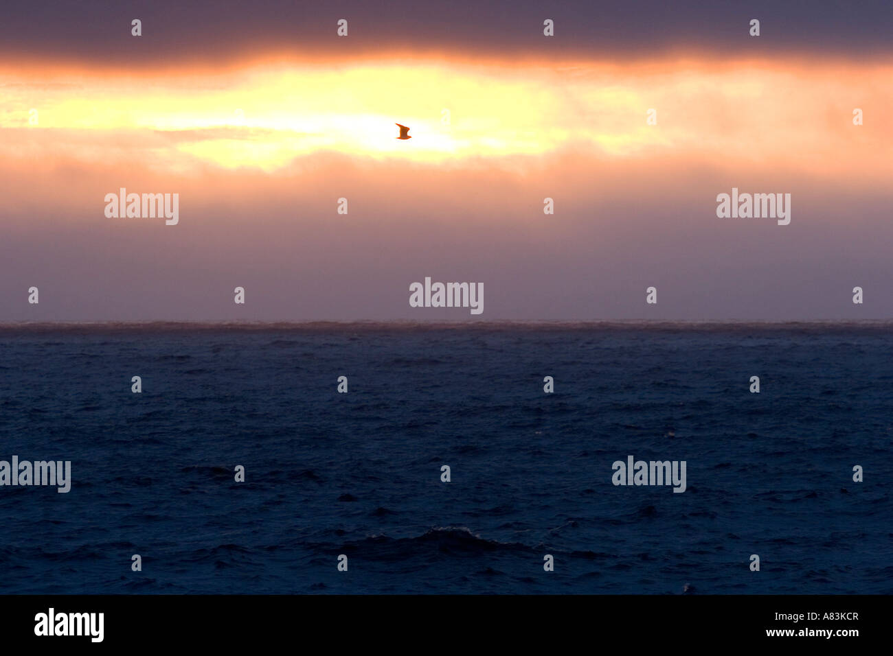Coucher du soleil sur la côte de Californie à Pacific Grove Banque D'Images