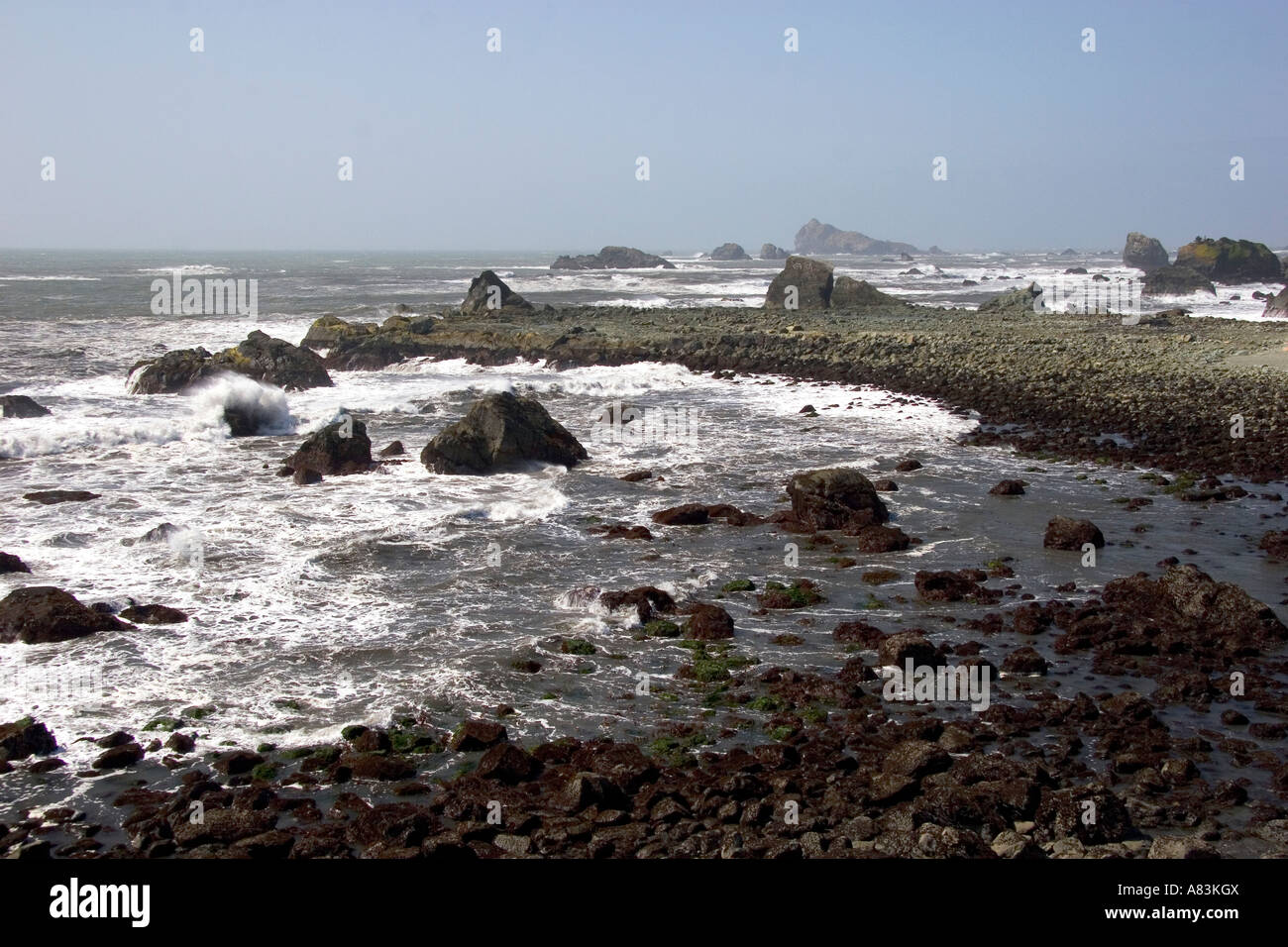 California coast à Crescent City Banque D'Images