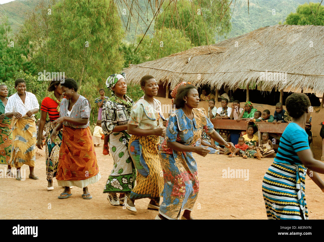 Les femmes locales effectuer une danse de bienvenue aux visiteurs, le Malawi, l'Afrique de l'Est. Banque D'Images