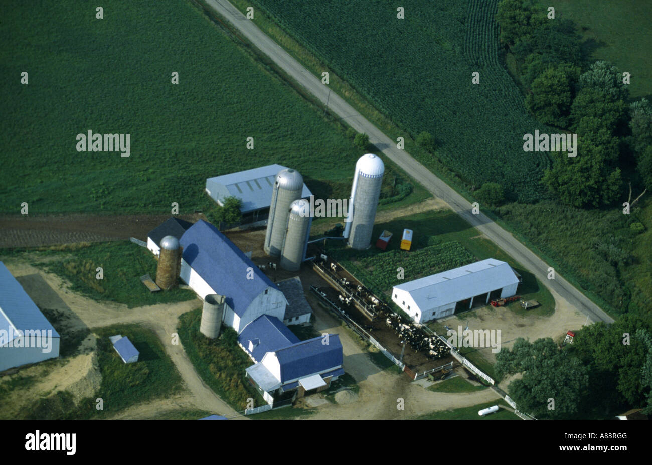 Vue aérienne de la ferme laitière, Wisconsin Banque D'Images