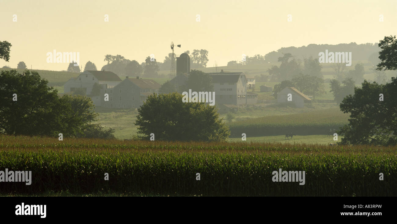 Tôt le matin du AMISH FARM Comté de Lancaster en Pennsylvanie Banque D'Images
