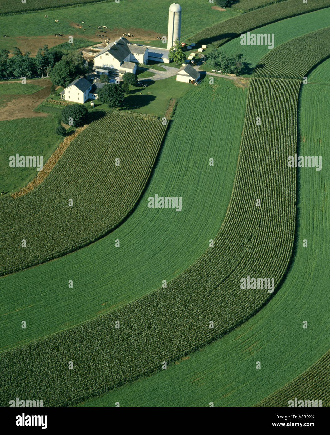 Vue aérienne de contours sur la ferme laitière en Pennsylvanie Banque D'Images