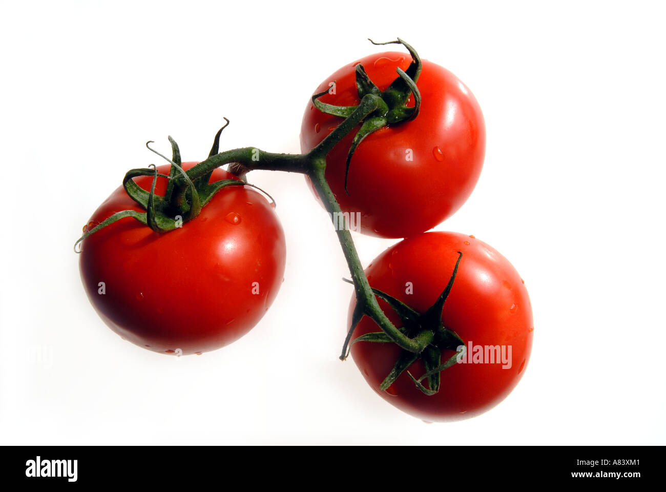 Les tomates sur la vigne Banque D'Images