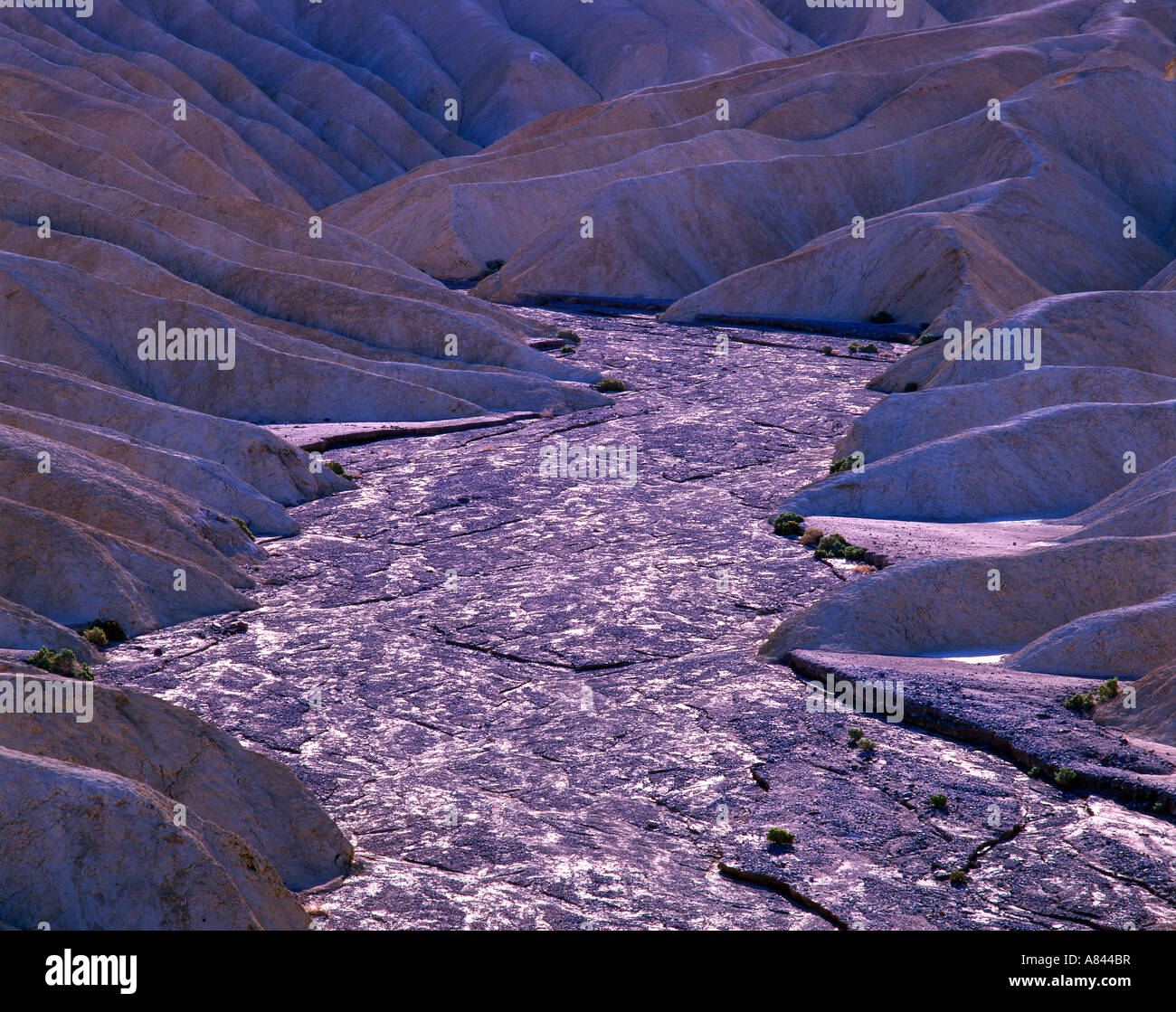 Paysage de rivière à sec en détail dans Zabriskie Point Death Valley National Park Californie USA Banque D'Images