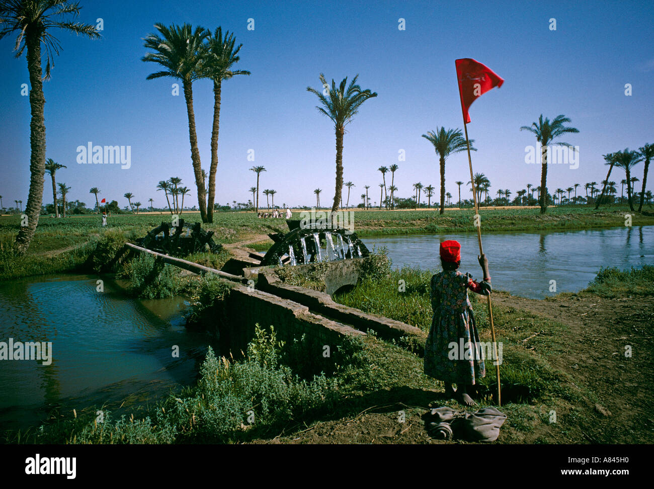 L'Égypte. La zone du delta du Nil. Ancienne méthode de l'irrigation à l'aide de roues hydrauliques. Les femmes avec les chapeaux et les drapeaux rouges envoyer un genre de signal. Banque D'Images