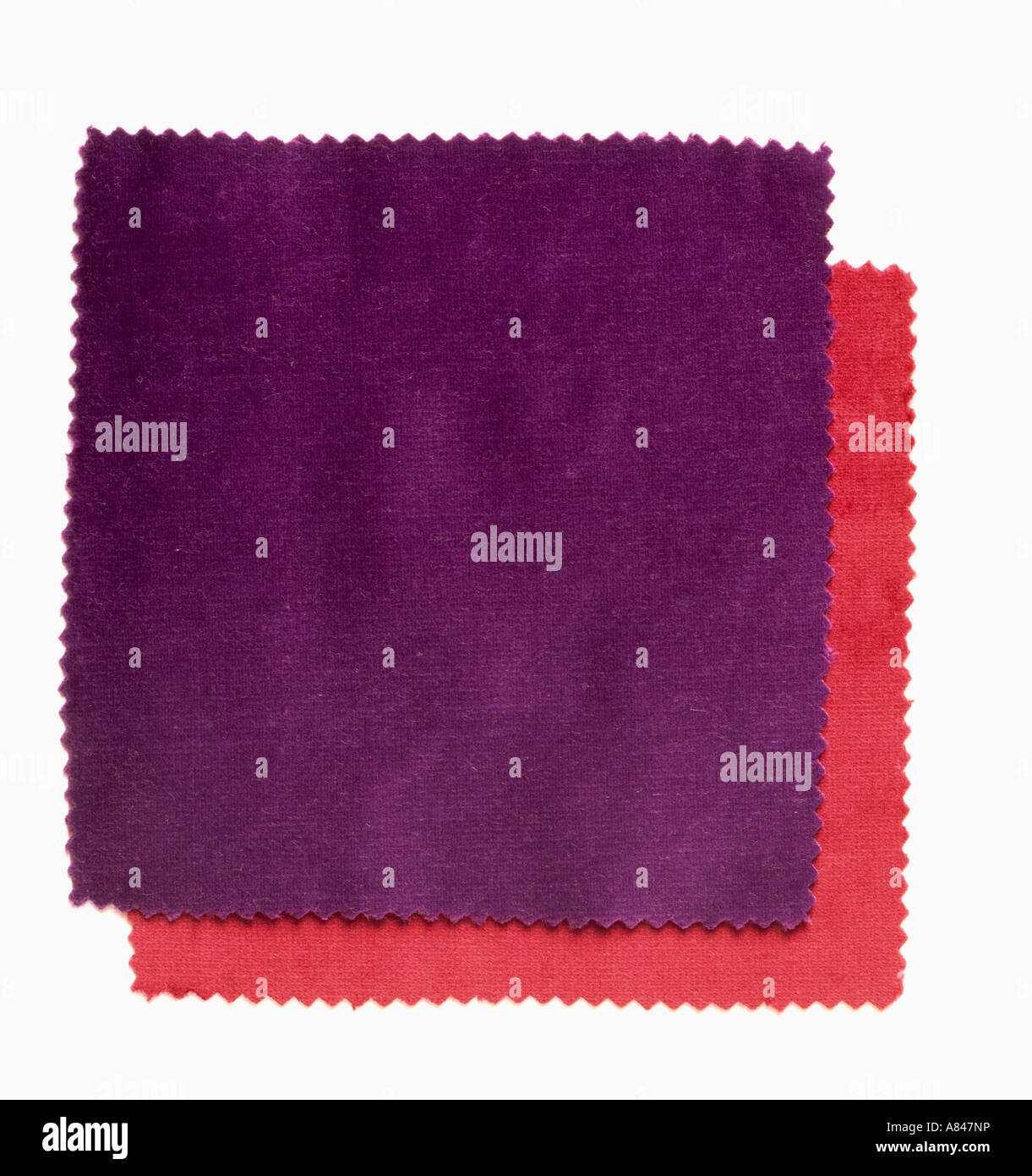 Close-up de mémo de tissu velours violet Banque D'Images