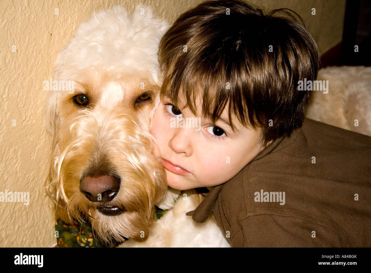 Garçon de 4 ans avec son bien-aimé chien Goldendoodle Gunner. T 'Paul' Minnesota USA Banque D'Images