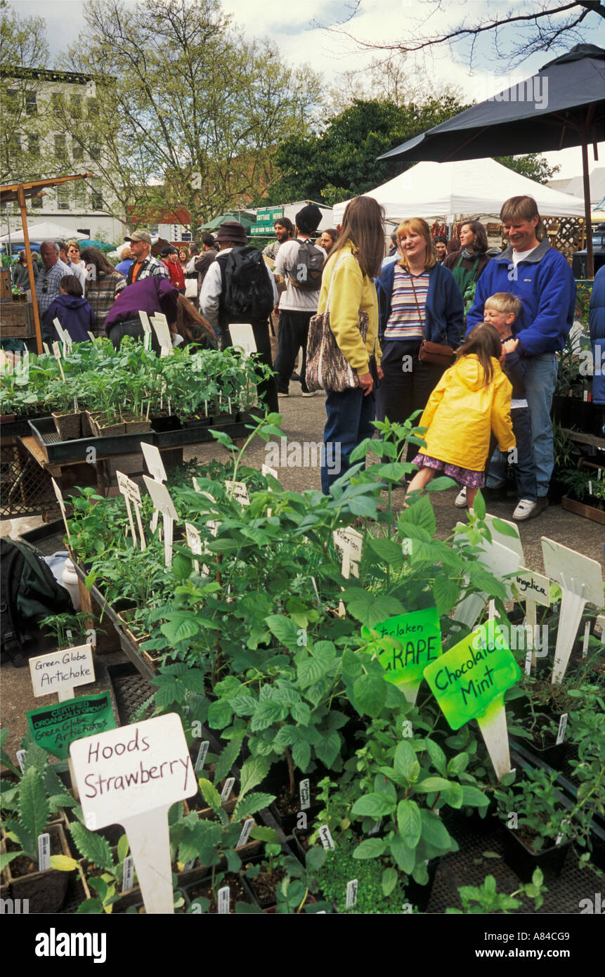 Marché de l'agriculteur a lieu chaque samedi à la blocs du parc au centre-ville d'Eugene Oregon Banque D'Images