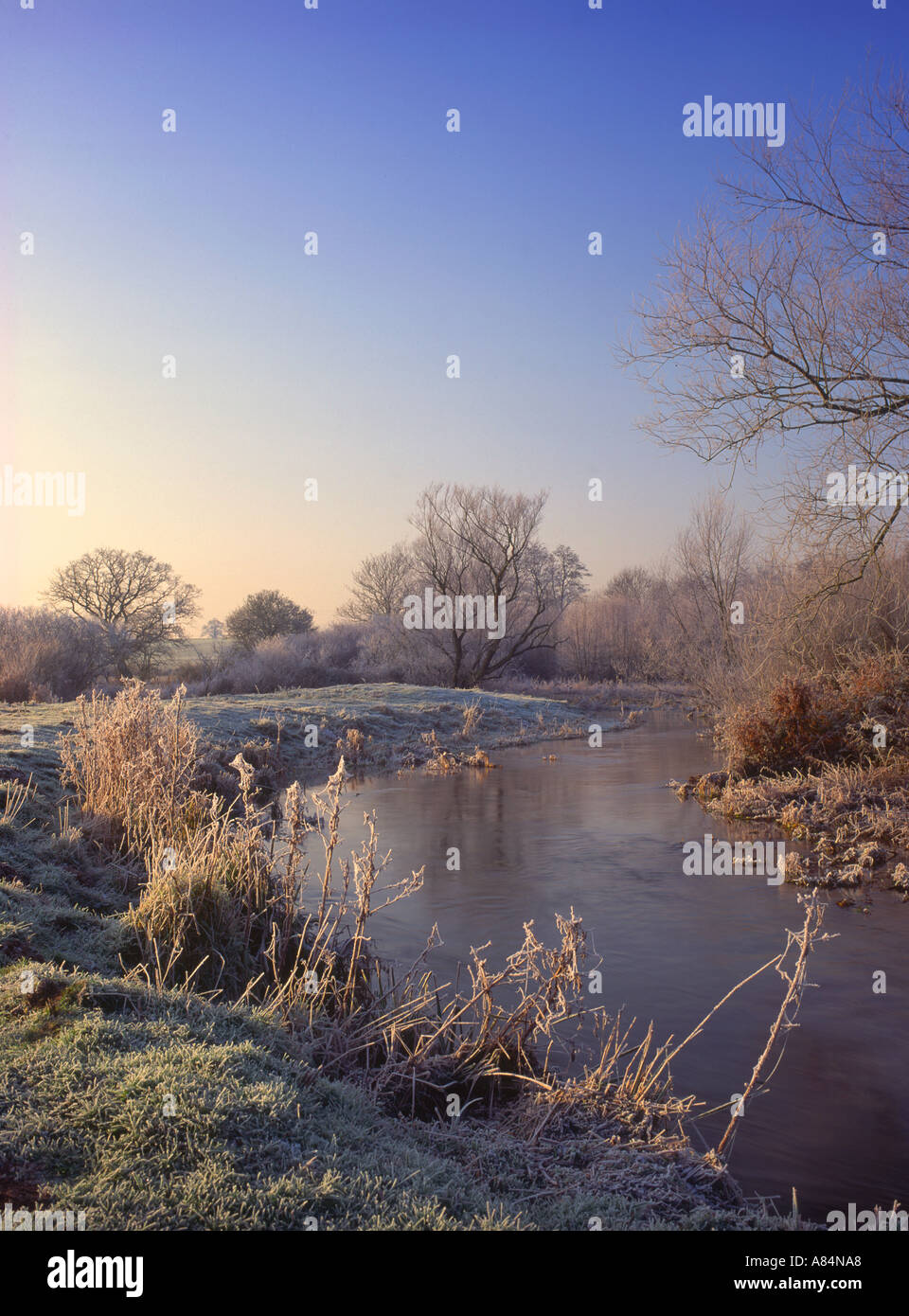 Frosty rives du fleuve Nar près de Castle Acre Norfolk England UK Banque D'Images