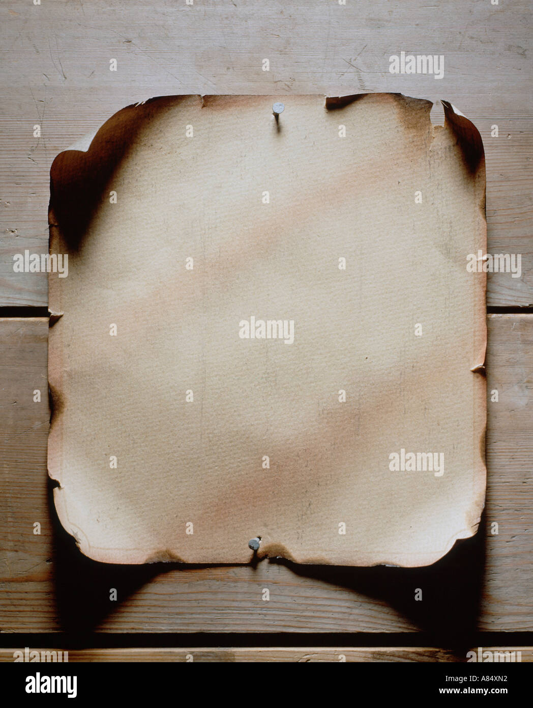 Image vie encore vierge de parchemin épinglé à un mur Banque D'Images
