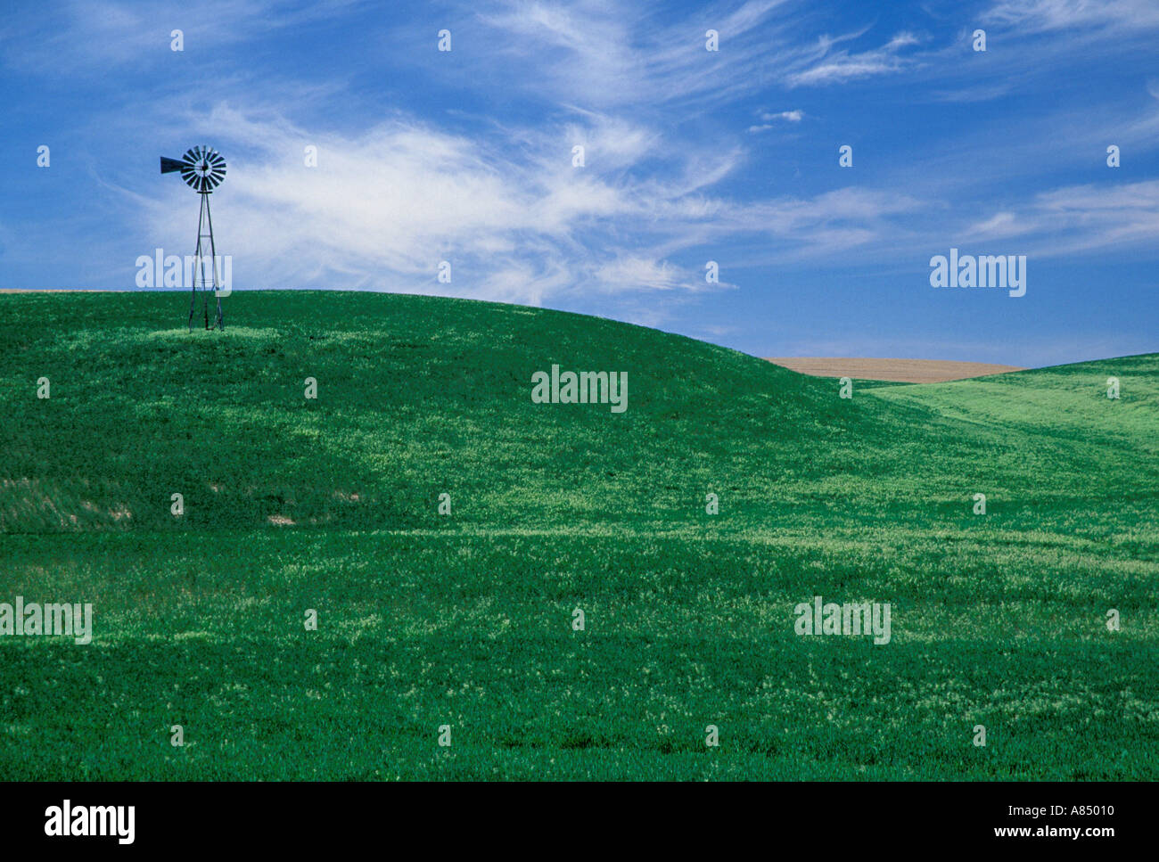 Whindmill dans les champs de blé sous ciel bleu avec des nuages Washington zone Palousienne Banque D'Images