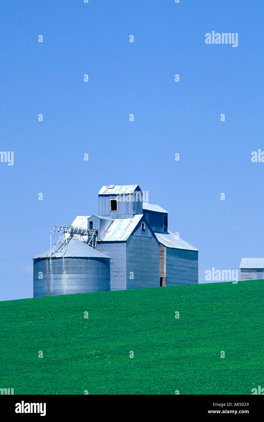 Les silos à grains et champ de blé sous ciel bleu zone Palousienne Washington Banque D'Images