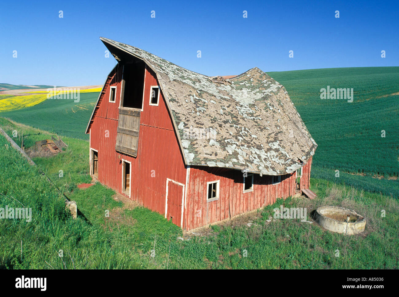 Vieille Grange rouge à côté de campagne en zone Palousienne Washington Banque D'Images