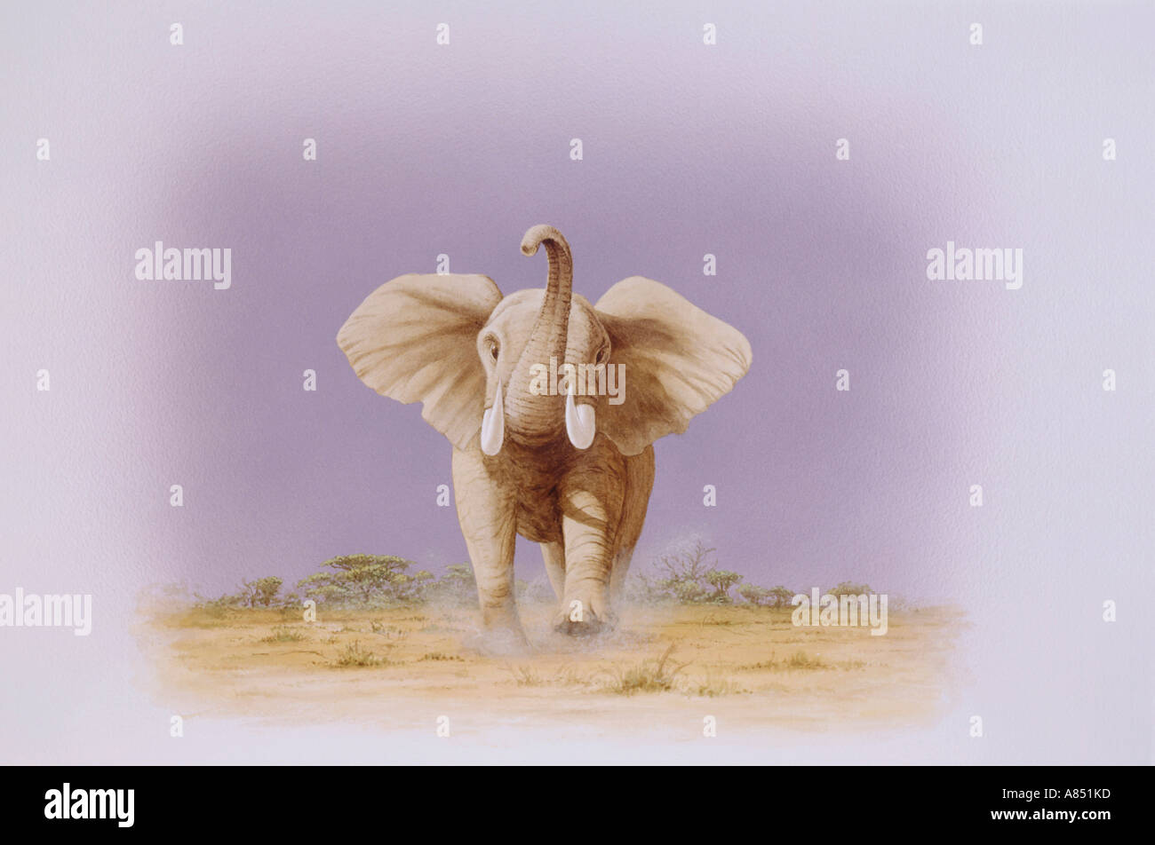 Illustration de l'Eléphant d'Afrique. Banque D'Images