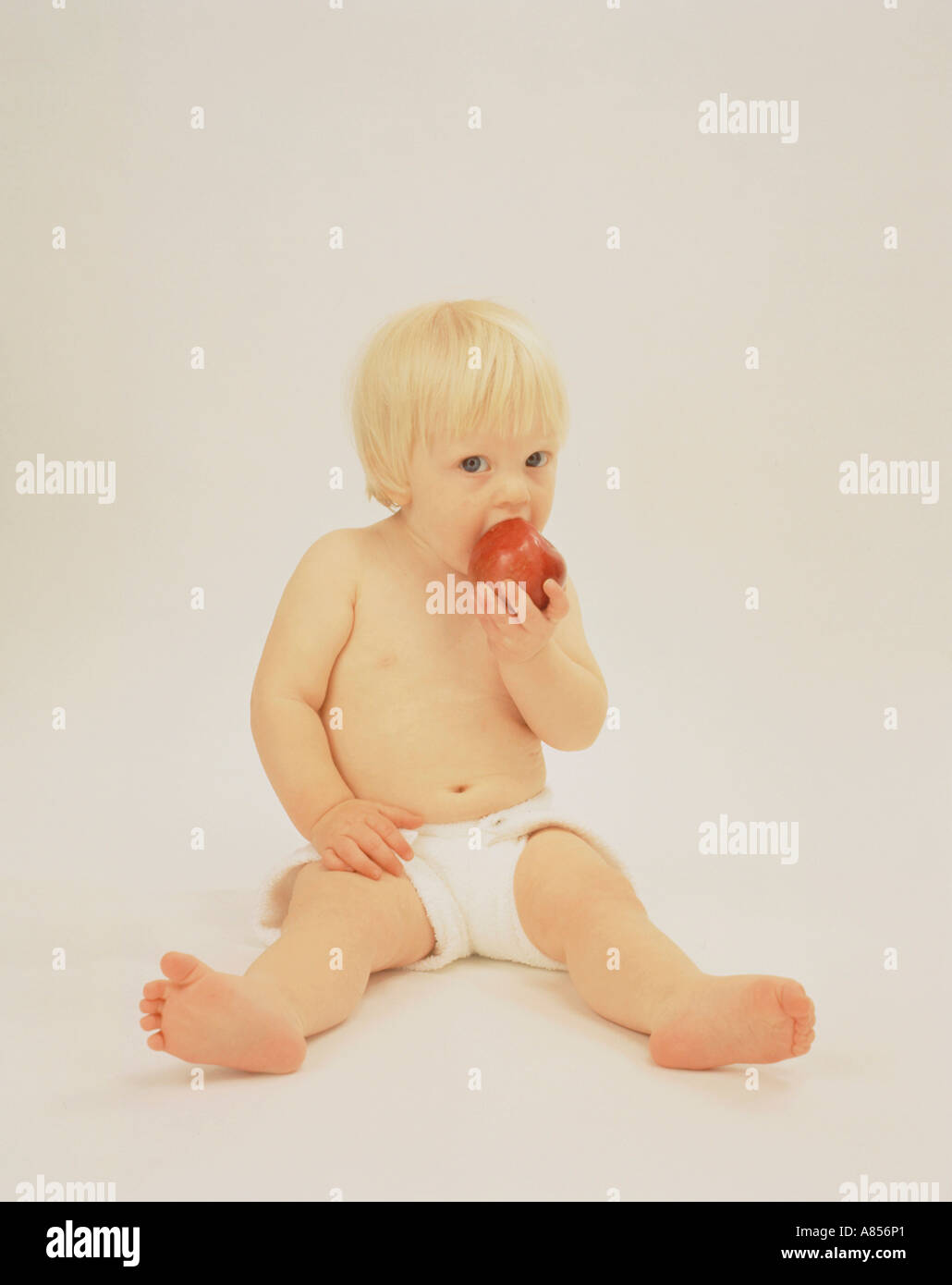 Studio image de Bébé garçon dans nappy de manger une pomme. Banque D'Images Studio image de Bébé garçon dans nappy de manger une pomme. Banque D'Images