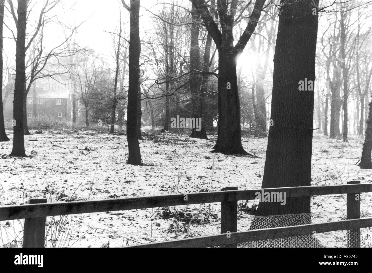 Maison solitaire dans la forêt enneigée Banque D'Images