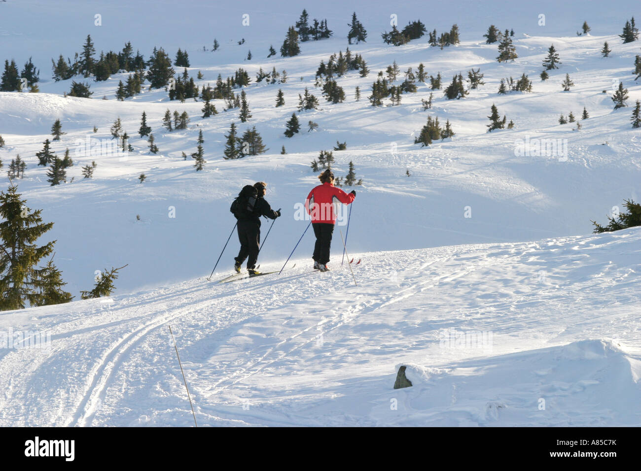 Les skieurs de fond, Norvège Banque D'Images