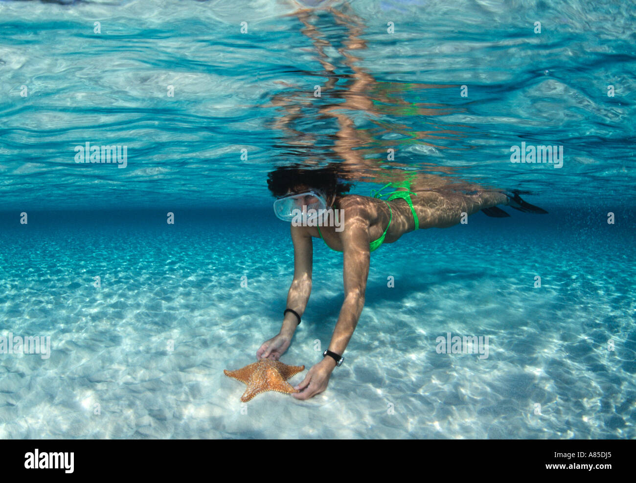 Femme avec le sea star en vert l'eau peu profonde Banque D'Images