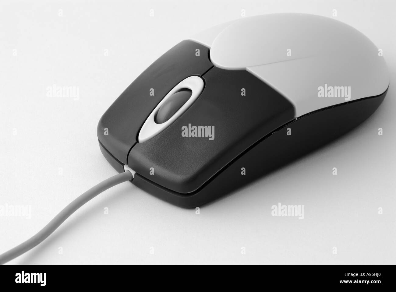 Souris d’ordinateur Banque D'Images