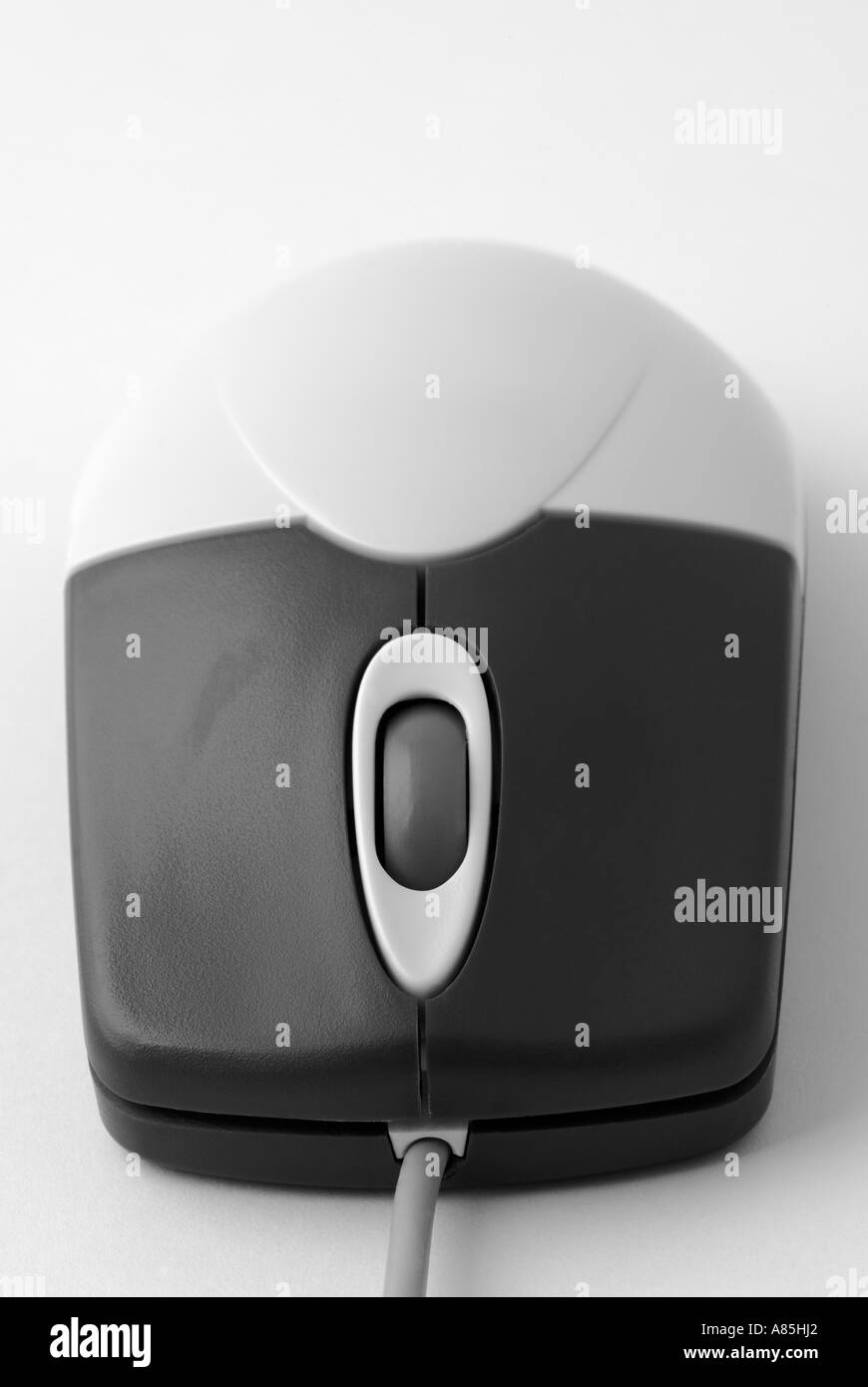 Souris d’ordinateur Banque D'Images