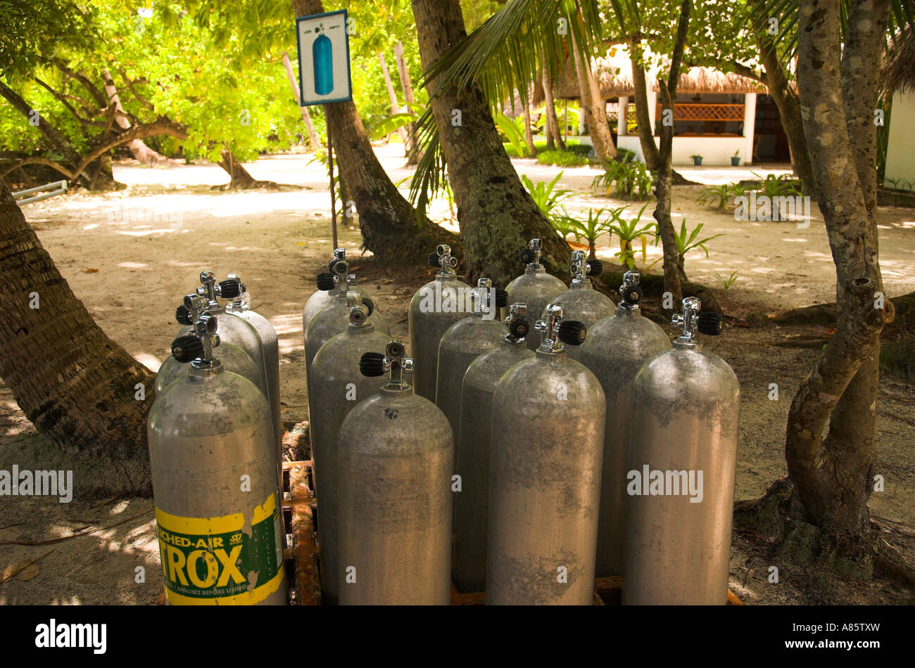 Réservoirs d'air comprimé préparé prêt à l'emploi par sucba plongeurs dans les Maldives. Banque D'Images