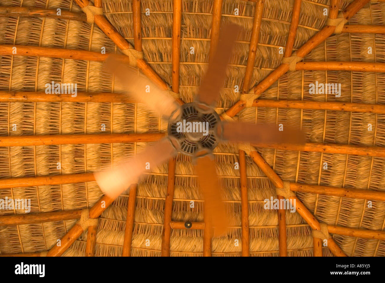 Ventilateur de plafond Esperanza Resort Cabo San Lucas Mexique Banque D'Images
