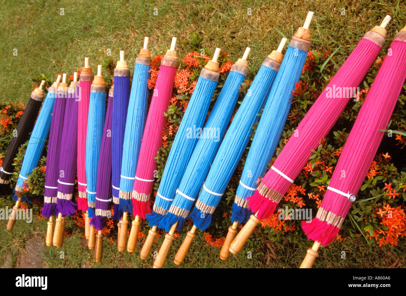 Parapluies Bo Sang Chiang Mai Thaïlande Banque D'Images Parapluies Bo Sang Chiang Mai Thaïlande Banque D'Images