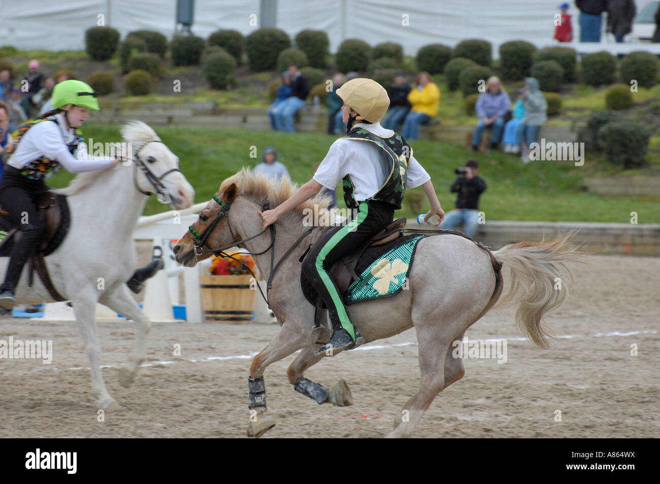 United States Poney Club de jeux internationaux concours pour le prince Phillip Cup Banque D'Images