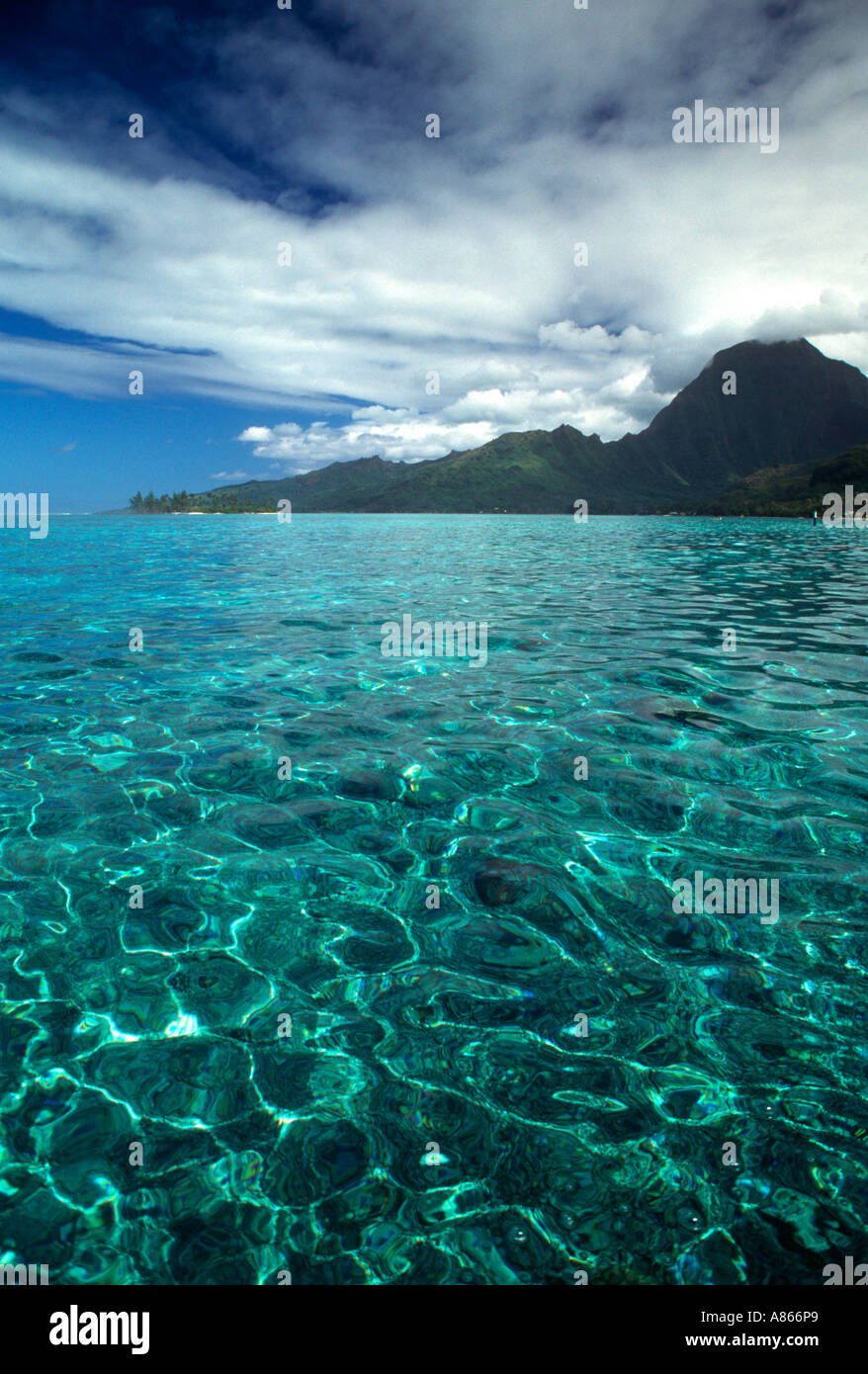 Les eaux bleu clair de Moorea Polynésie Française Banque D'Images