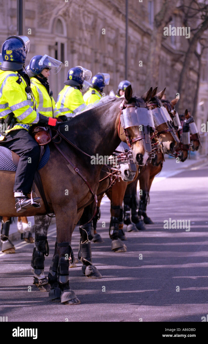 Les chevaux de la police London England UK Banque D'Images