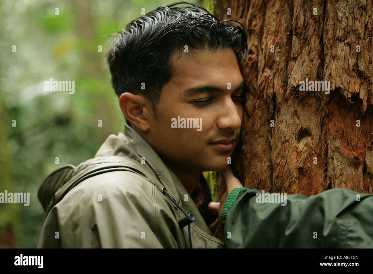 View of a man hugging tree Banque D'Images