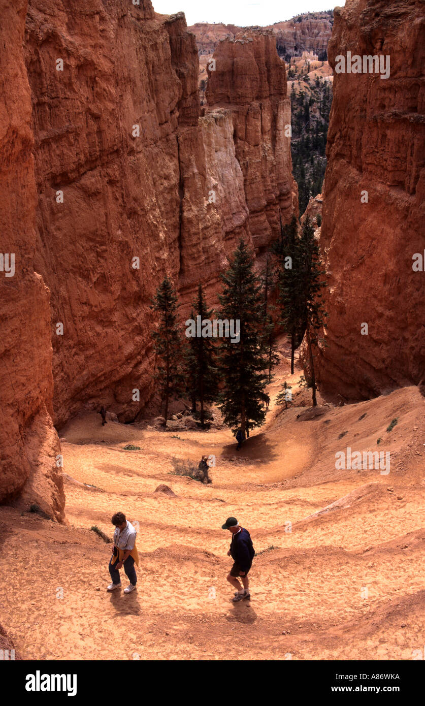 Le Parc National de Bryce Canyon Utah United States America Banque D'Images