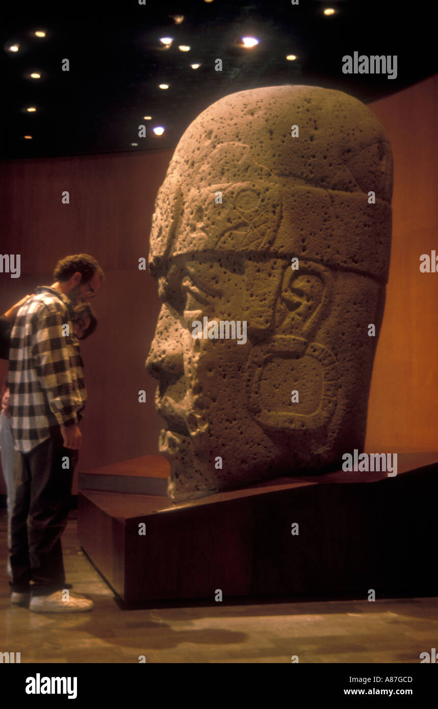 Tête de pierre olmèque au musée d'anthropologie et d'Histoire Banque D'Images