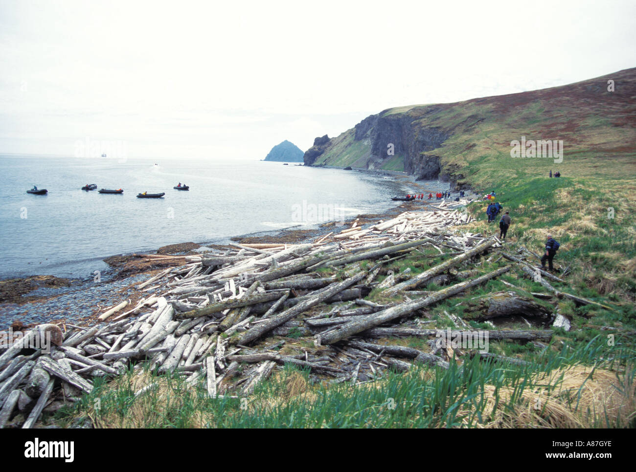 Côte de l'Île Unimak Aleutian Islands Banque D'Images