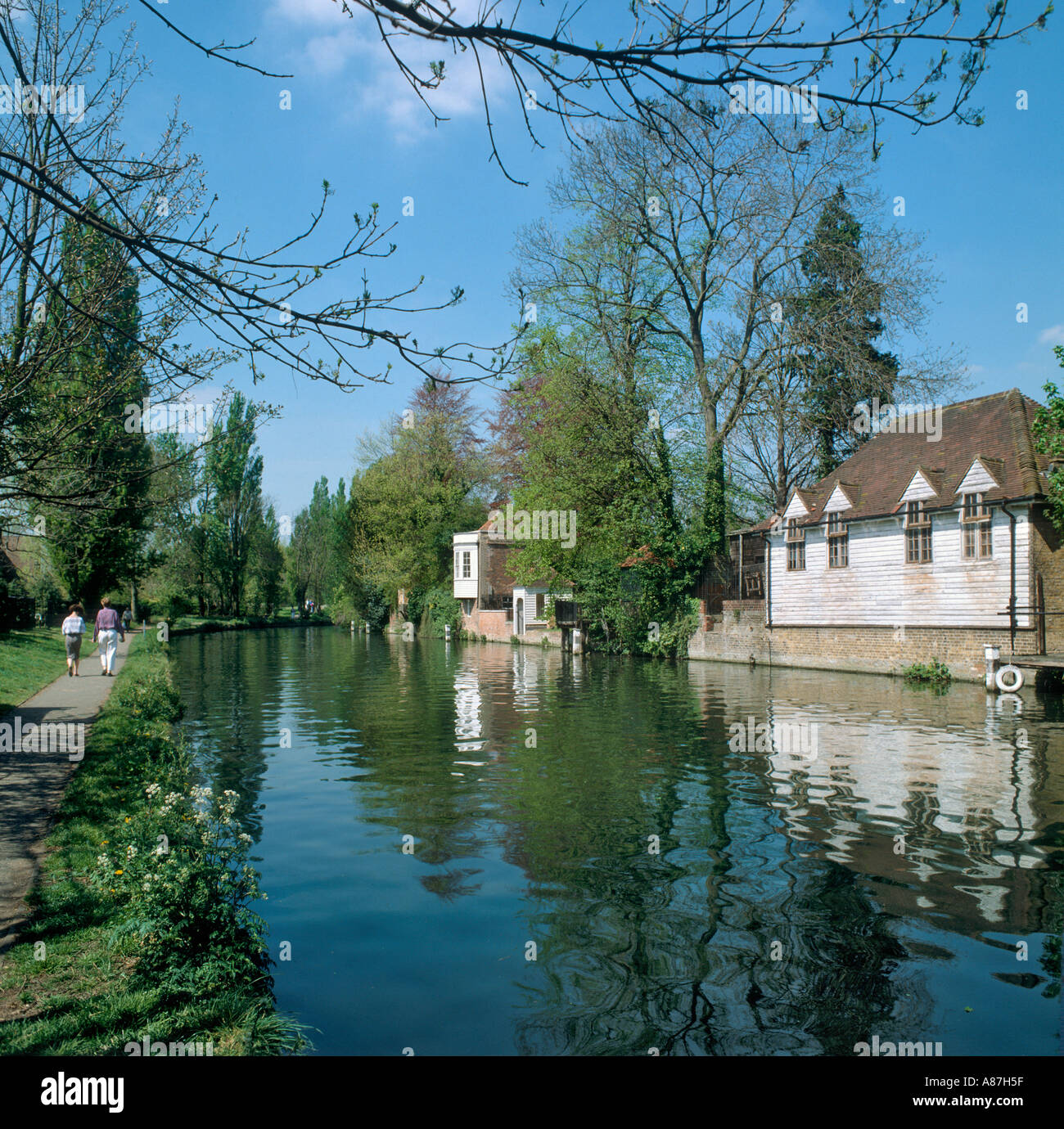 Rivière Lea au printemps, Ware, Hertfordshire, Royaume-Uni Banque D'Images