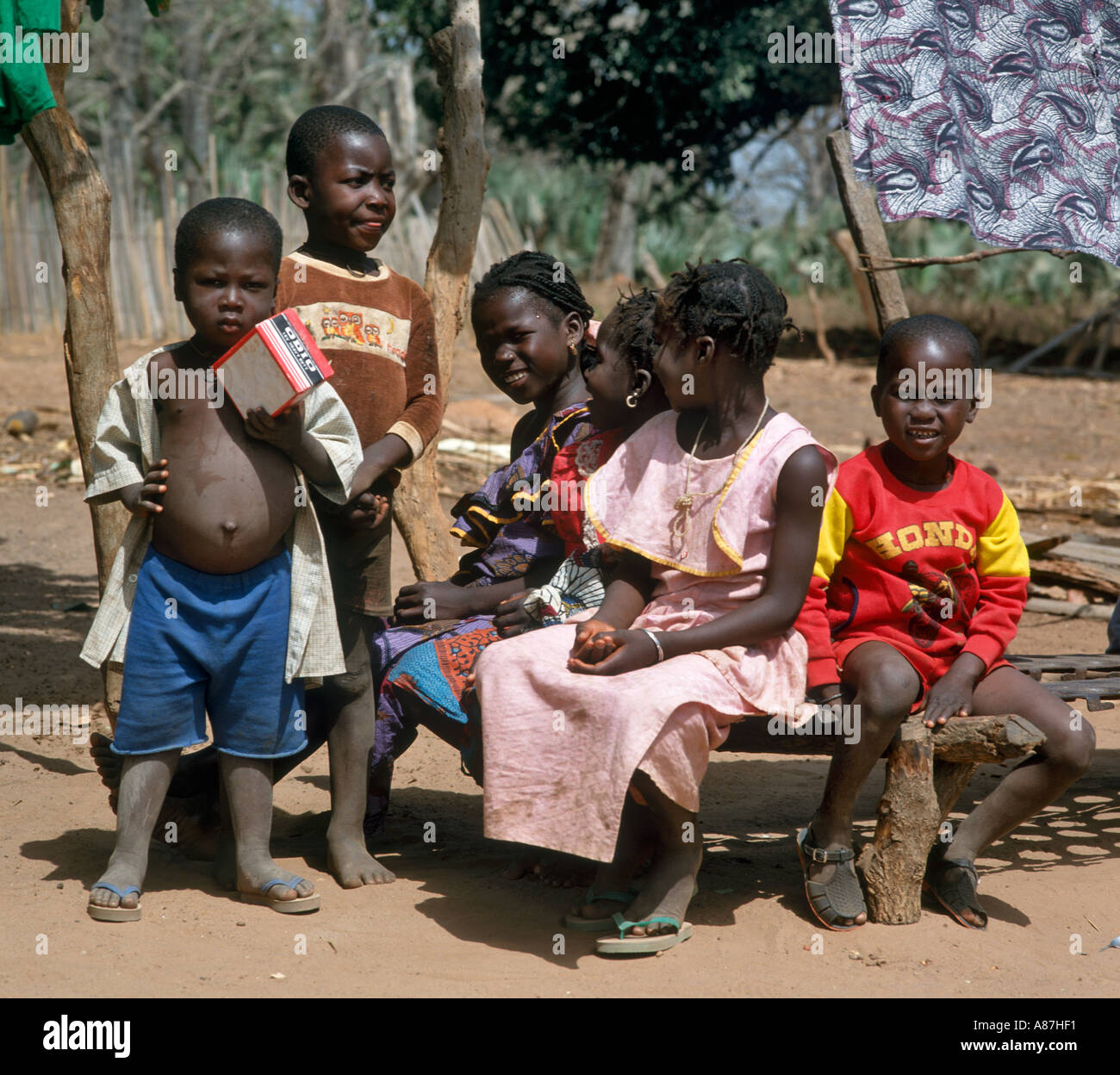 Groupe de jeunes enfants d'un village autochtone locale, la Gambie, Afrique de l'Ouest Banque D'Images