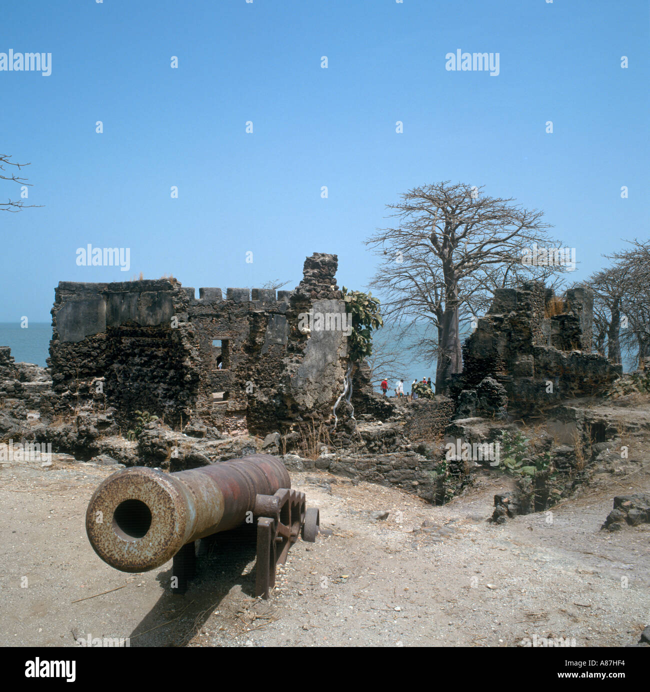 Fort de l'île James, racines d'excursion, de la Gambie, Afrique de l'Ouest Banque D'Images