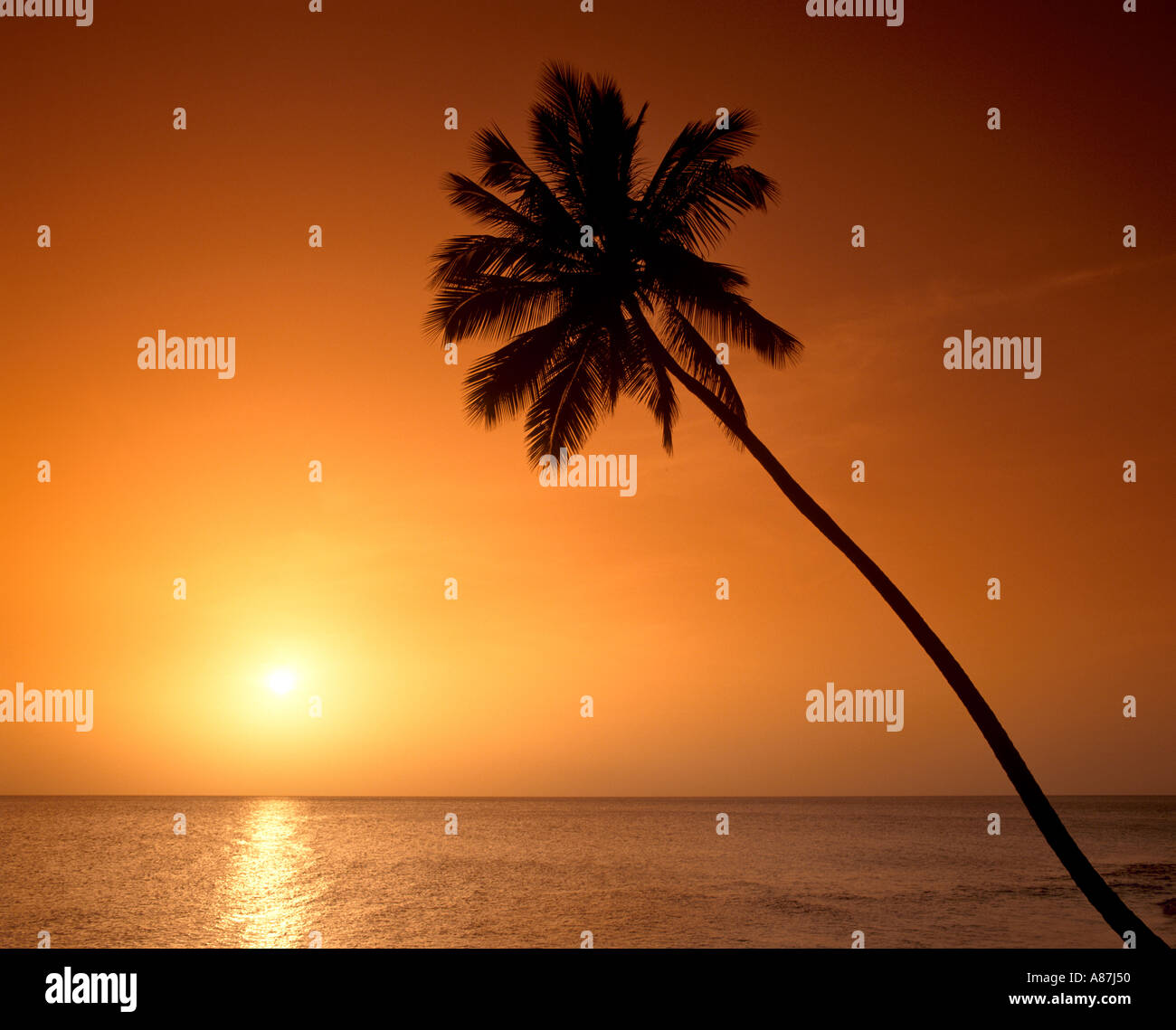 Plage au coucher du soleil, Antigua, Caraïbes, Antilles Banque D'Images